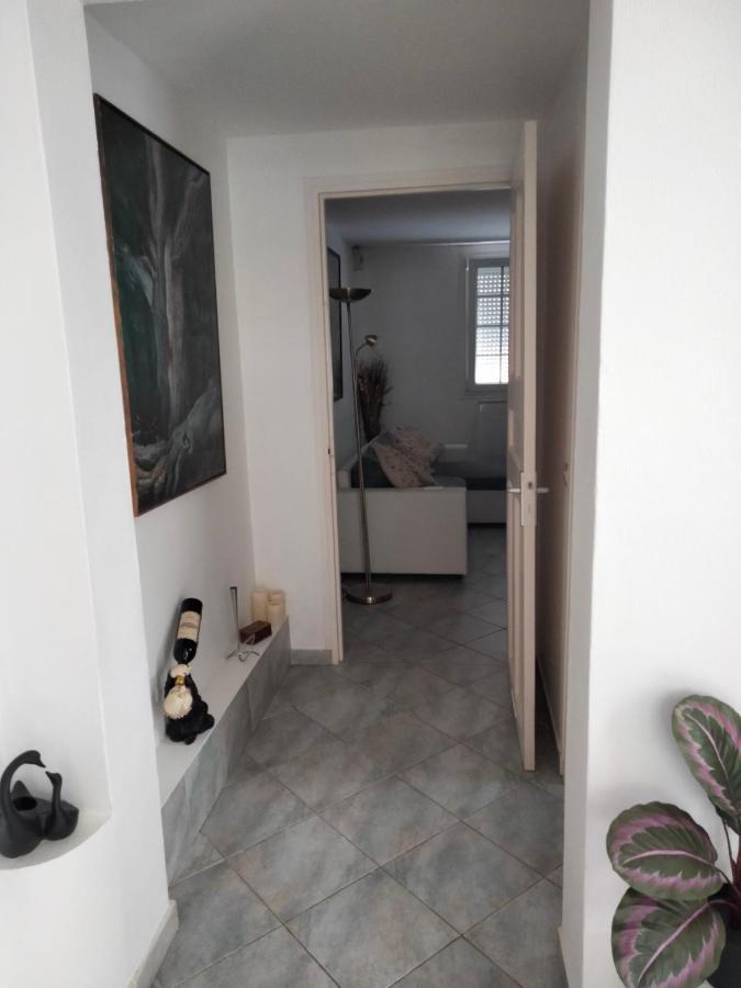 Beautiful Apartment With Garden Amélie-les-Bains-Palalda Zewnętrze zdjęcie